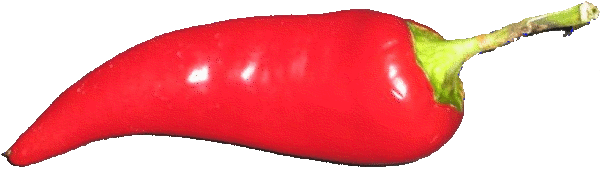 Chili Pepper